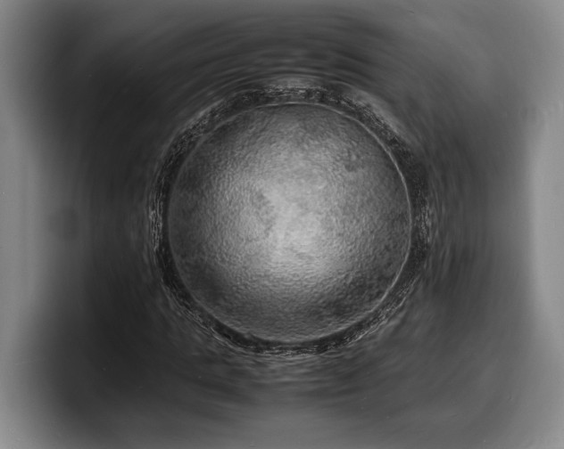 X0000100310821200806051454