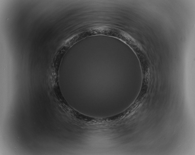 X0000100310822200806051454