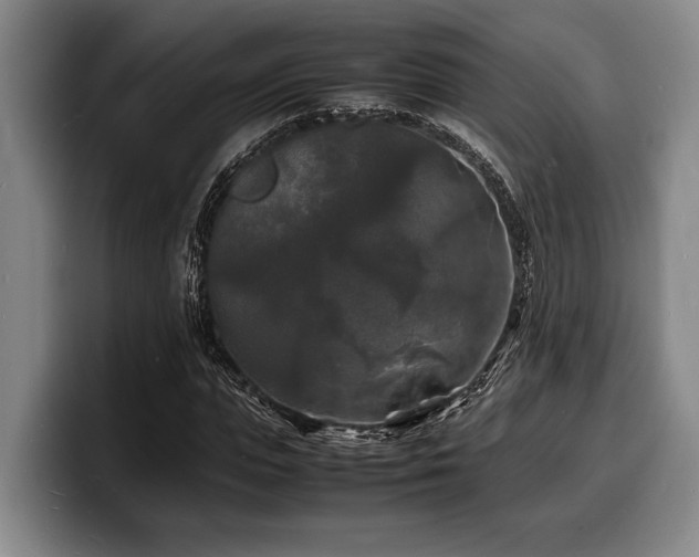 X0000100310823200806051454
