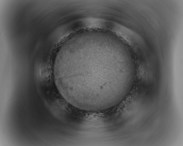 X0000100310824200806051454