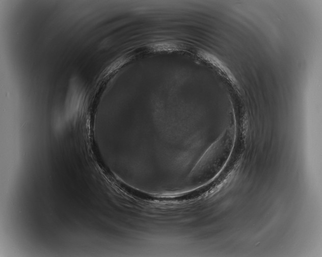 X0000100310825200806051454