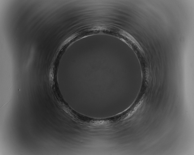 X0000100310826200806051454