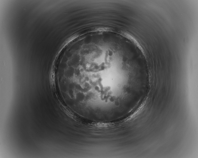 X0000100310827200806051454