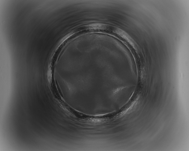 X0000100310829200806051454