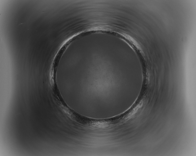 X0000100310830200806051454