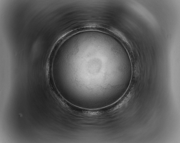 X0000100310831200806051454