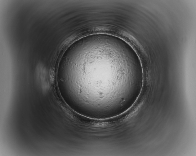 X0000100310833200806051454