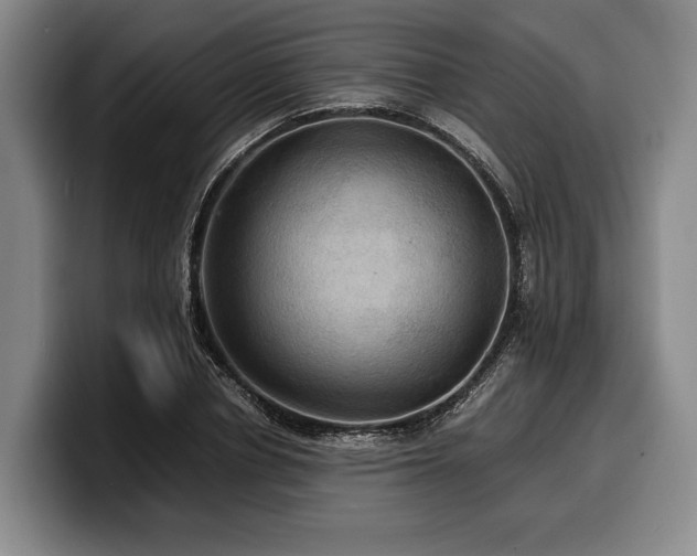 X0000100310834200806051454