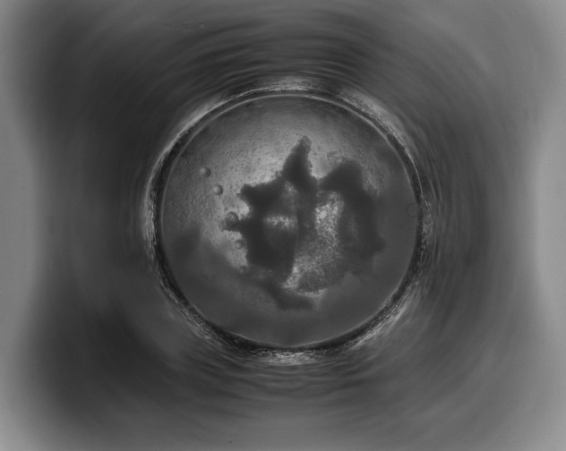 X0000100310835200806051454