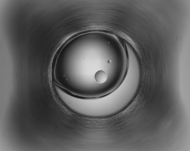 X0000100310836200806051454