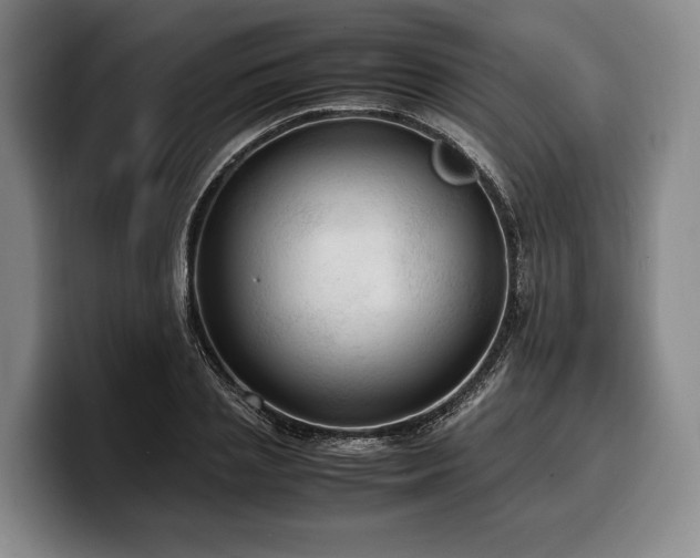 X0000100310837200806051454