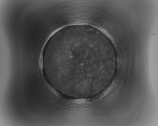 X0000100310838200806051454