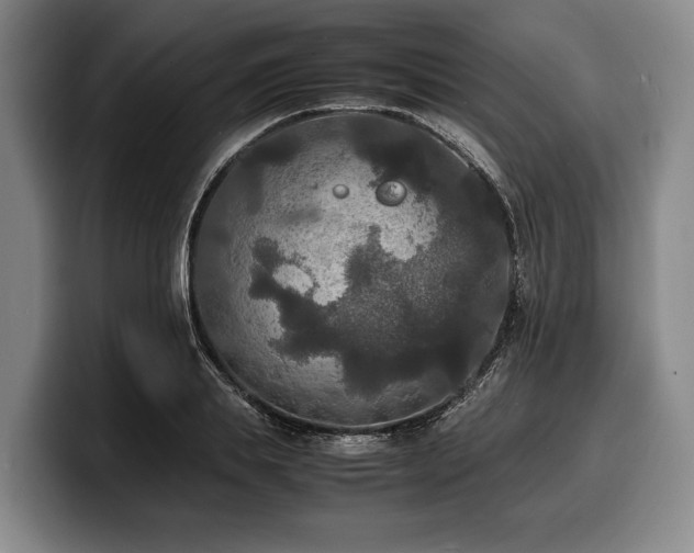 X0000100310839200806051454