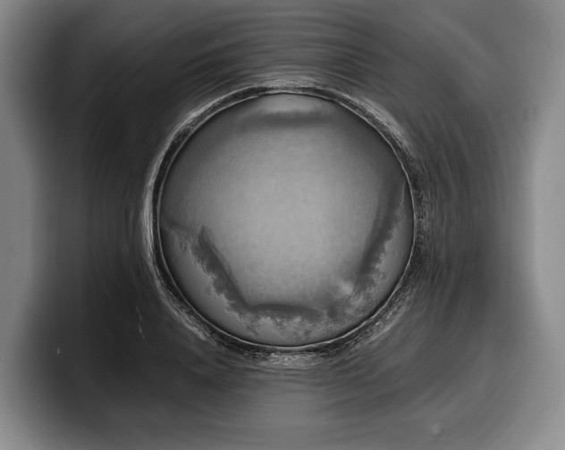 X0000100310840200806051454