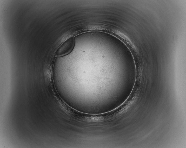X0000100310841200806051454