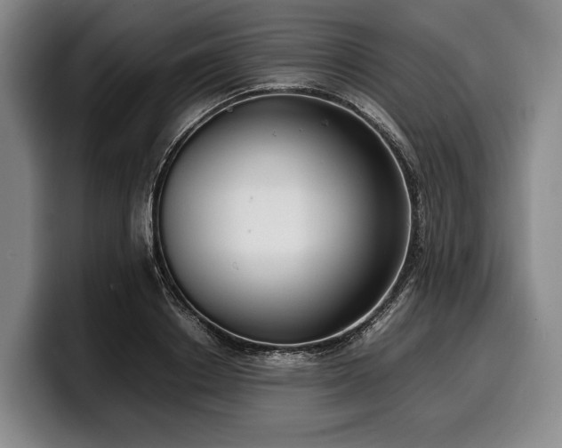 X0000100310842200806051454