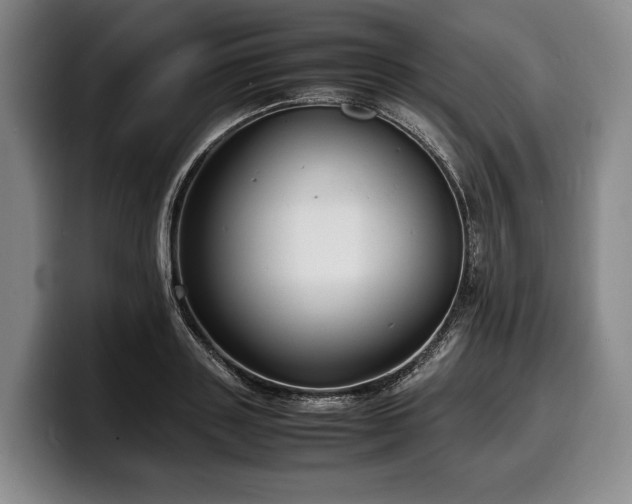 X0000100310843200806051454