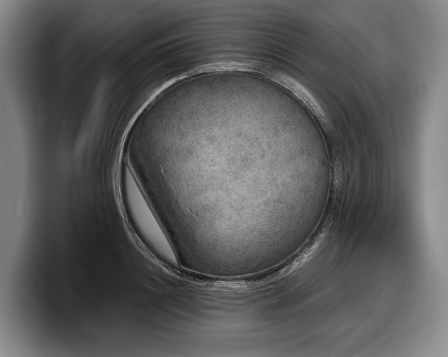 X0000100310844200806051454