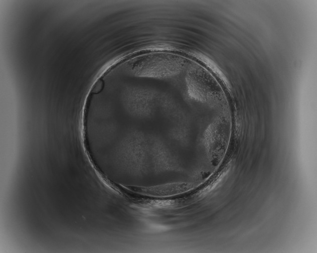 X0000100310845200806051454