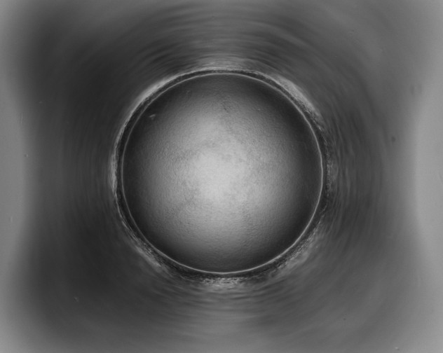 X0000100310846200806051454