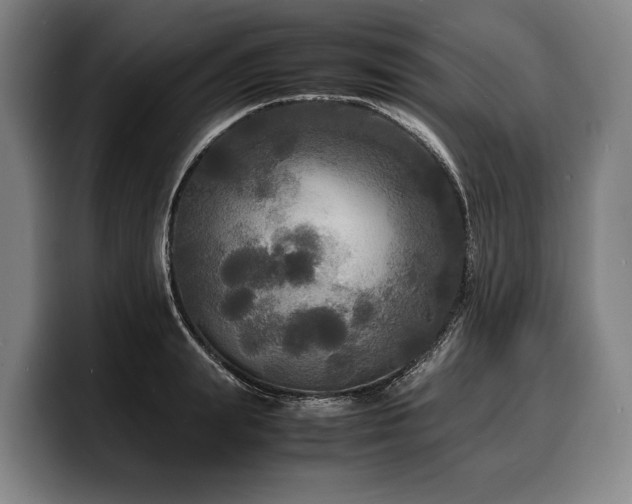 X0000100310847200806051454