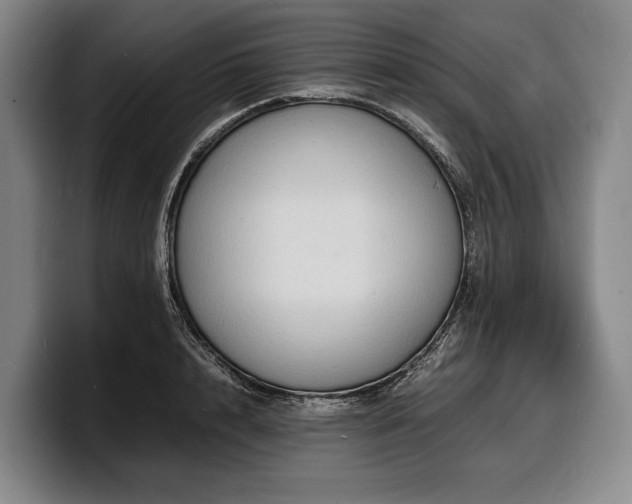 X0000100310848200806051454