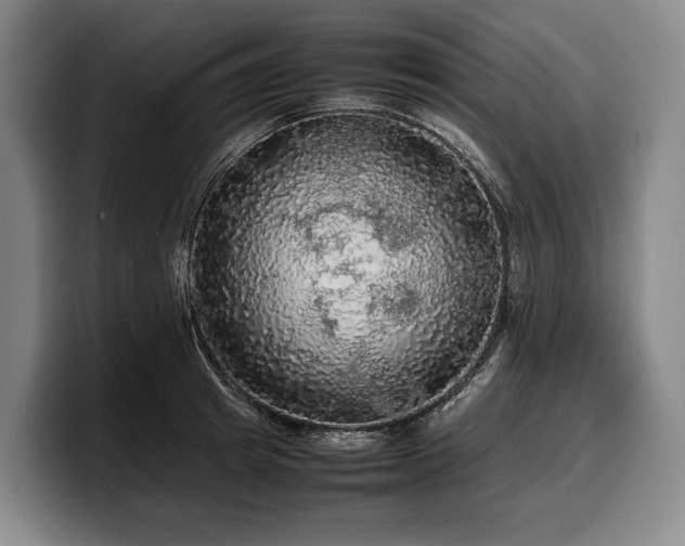 X0000100310849200806051454