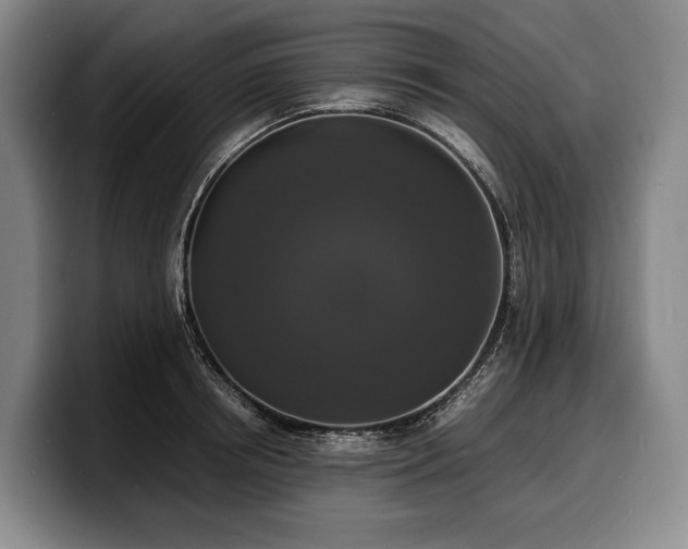 X0000100310850200806051454