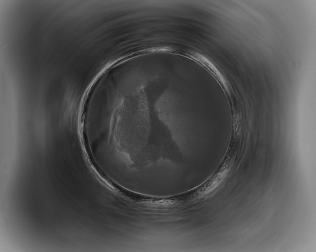 X0000100310851200806051454