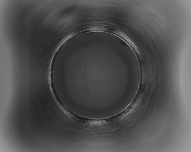 X0000100310853200806051454