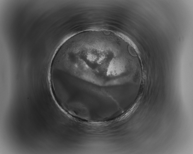X0000100310855200806051454