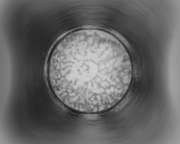X0000100310856200806051454