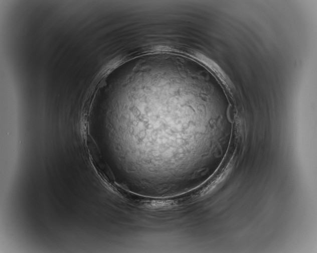 X0000100310857200806051454