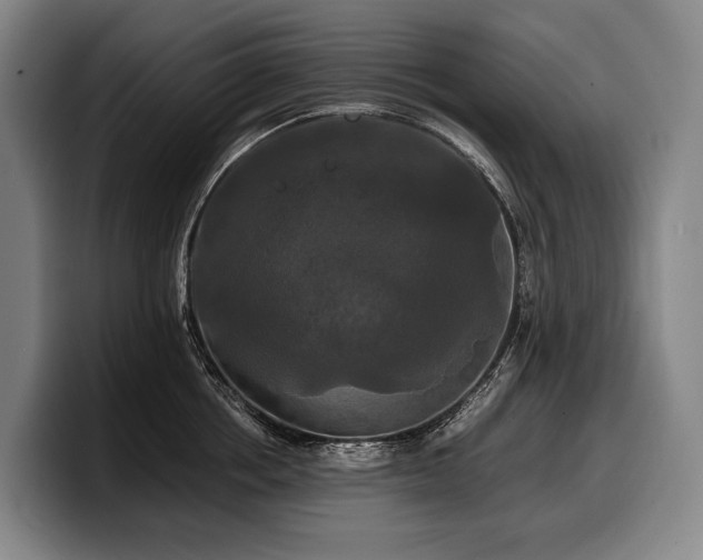X0000100310858200806051454