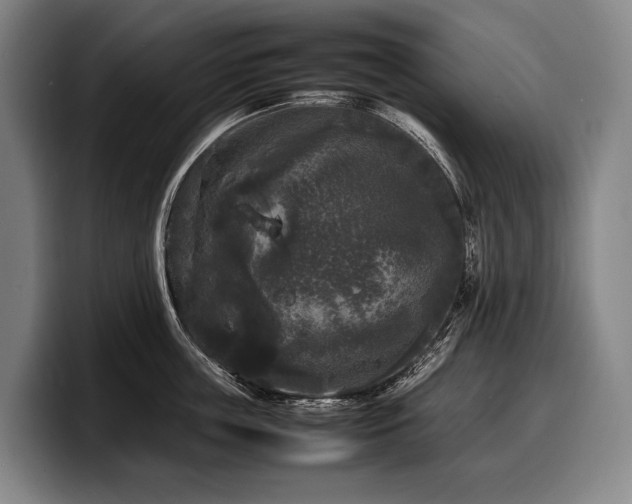 X0000100310859200806051454