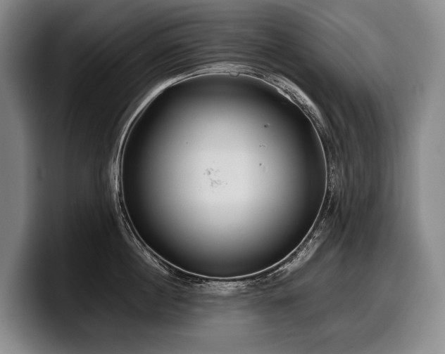 X0000100310860200806051454