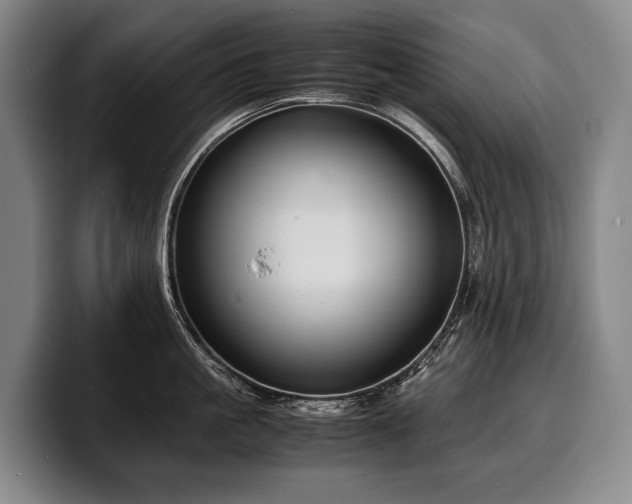 X0000100310861200806051454