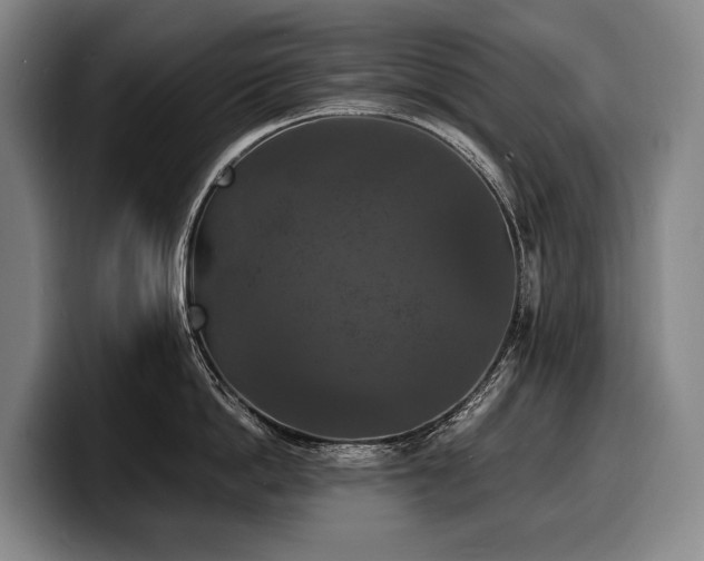 X0000100310862200806051454