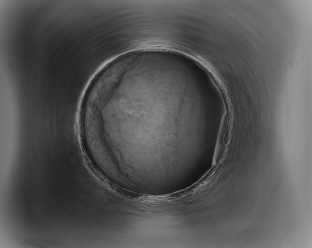 X0000100310864200806051454