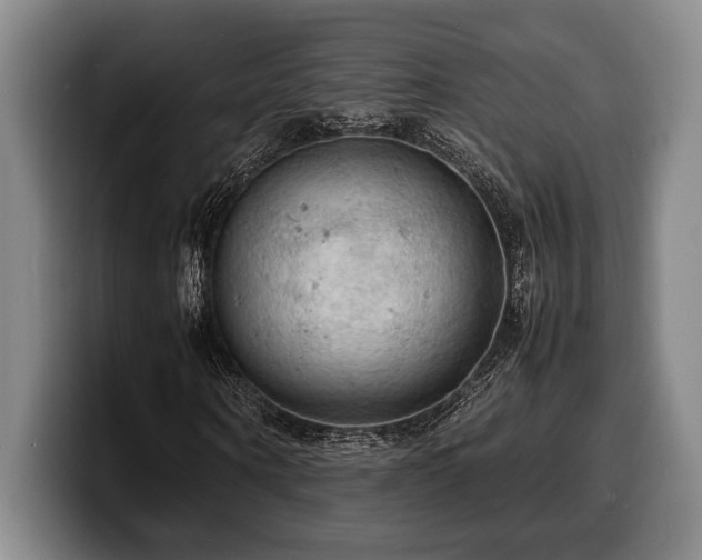 X0000100310866200806051454