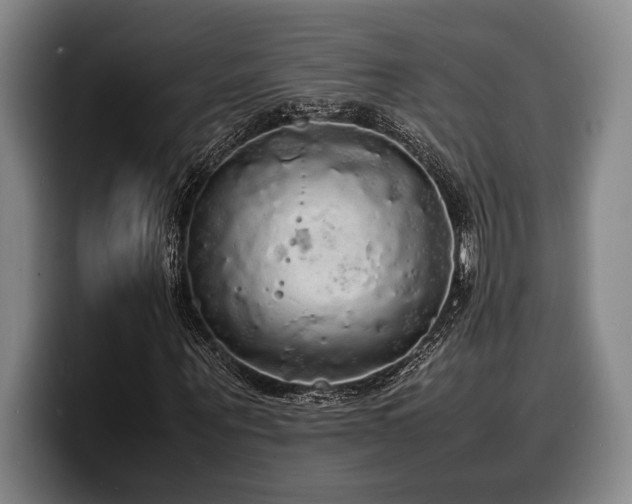 X0000100310867200806051454