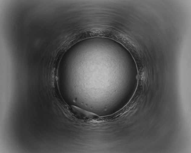 X0000100310868200806051454