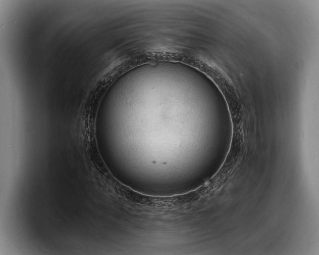 X0000100310870200806051454