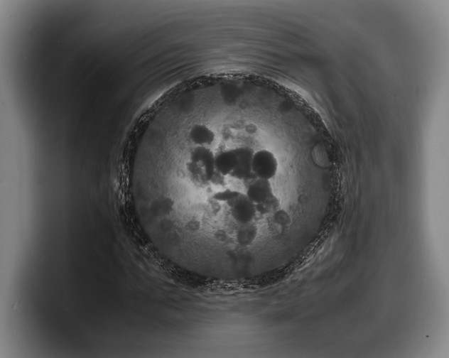 X0000100310871200806051454