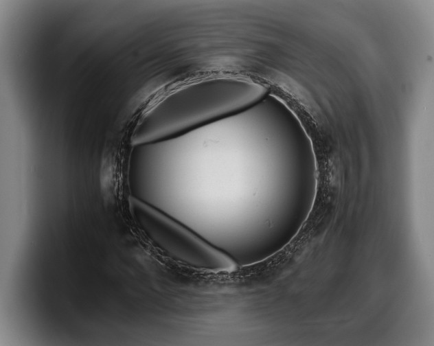 X0000100310872200806051454