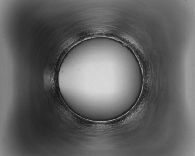 X0000100310873200806051454