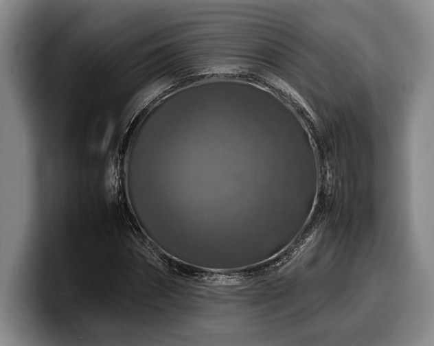 X0000100310874200806051454