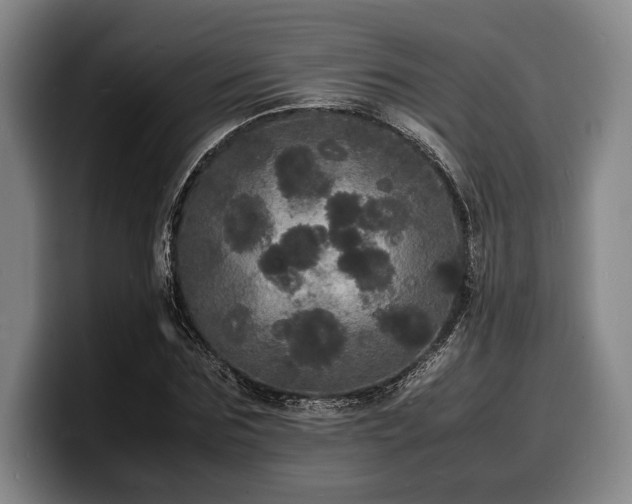 X0000100310875200806051454