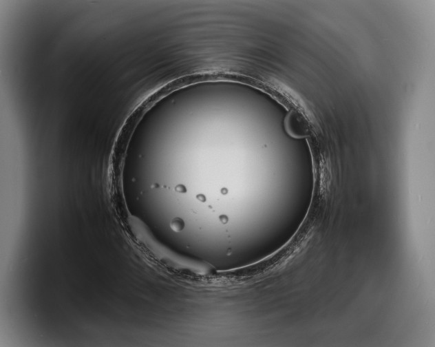 X0000100310876200806051454