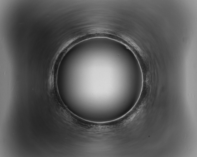 X0000100310877200806051454